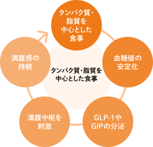 タンパク質・脂質を中心とした食事
